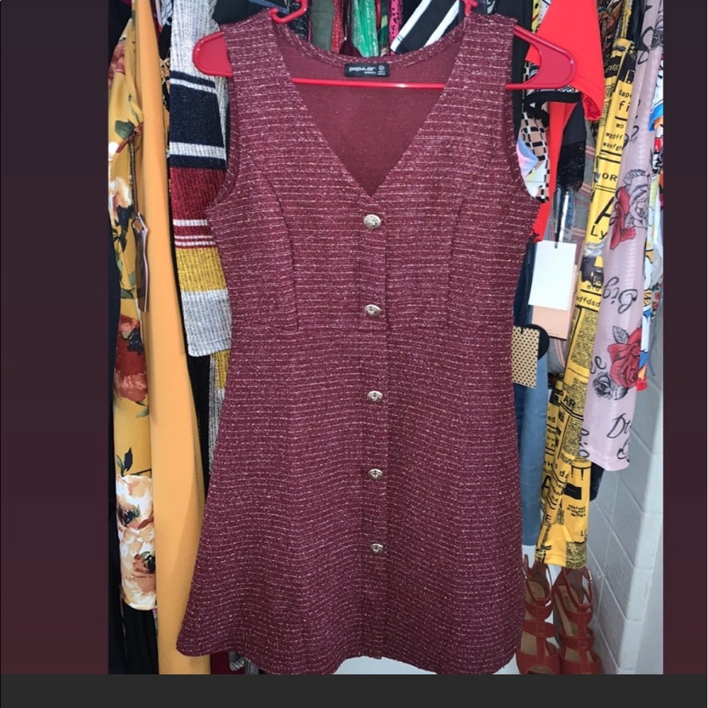NWT pretty glittery burgundy dress